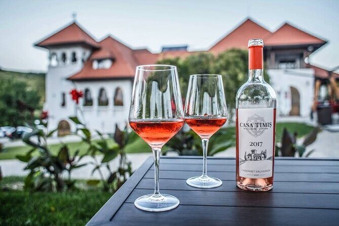 Private Wine Tasting in Cellar and the Winemaking process - Exploring Romanias Wine Heritage: A Private Day Tour from Bucharest