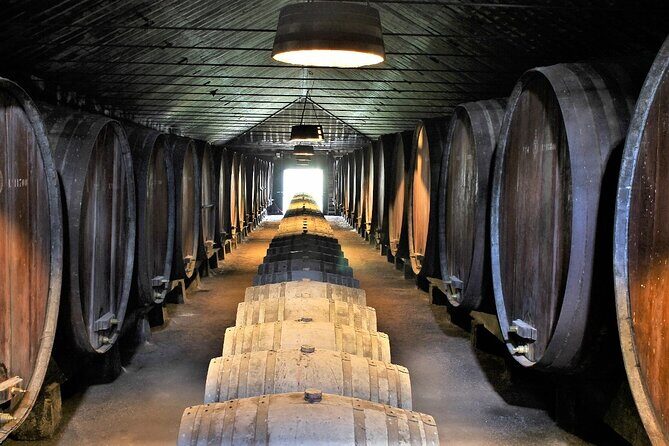 Private Wine Tasting in the Setúbal Wine Region, from Lisbon - A Full Breakdown of the Experience