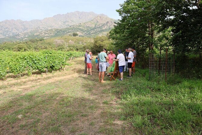 Private Wine Tasting Tour around Ile Rousse and Calvi - FAQ
