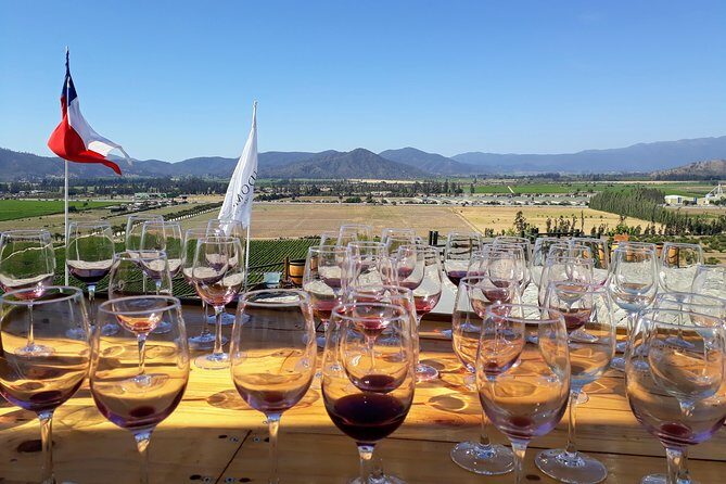 Private Wine Tasting tour in Casablanca Valley Vineyards - Practicalities and Expertise