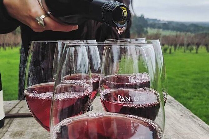 Private Wine Tasting Tour in Mornington Peninsula with Lunch - The Itinerary: A Closer Look at Each Stop