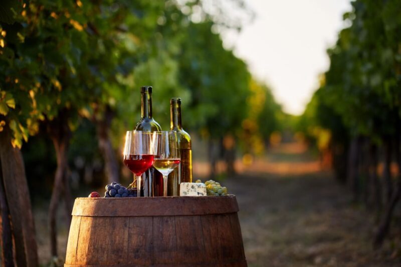 Private Wine Tasting Tour in Munich with a Wine Expert - Is This Tour Worth the Price?