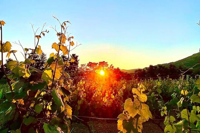 Private Wine Tasting Under The Stars With Sunset Panorama - The Experience in Detail