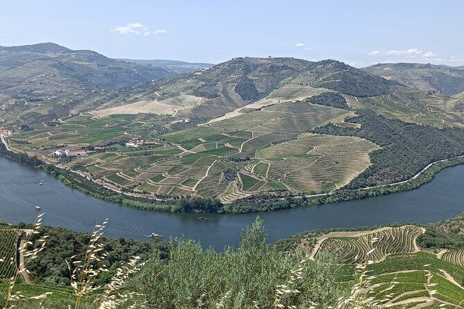 Private Wine Tour - Final Thoughts