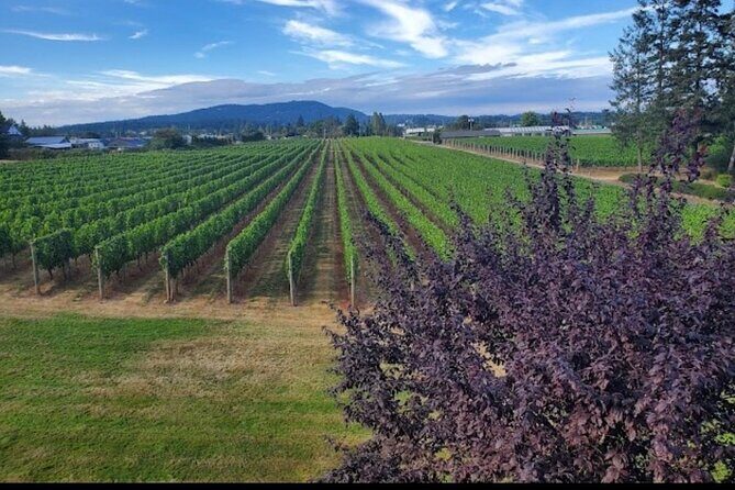 Private Wine Tour at Church and State Wines in Victoria BC Canada - How the Itinerary Shapes the Experience