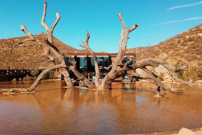 Private Wine Tour at Valle de Guadalupe (A wine tasting included). - Authentic Experiences Backed by Happy Travelers