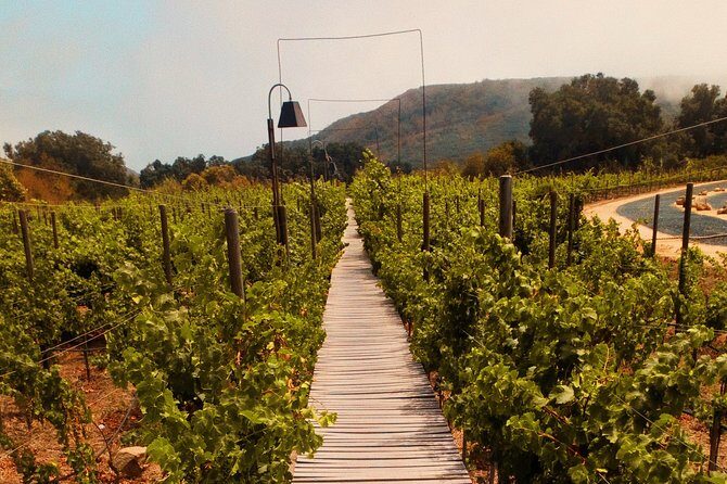 Private Wine Tour at Valle de Guadalupe (A wine tasting included). - Frequently Asked Questions