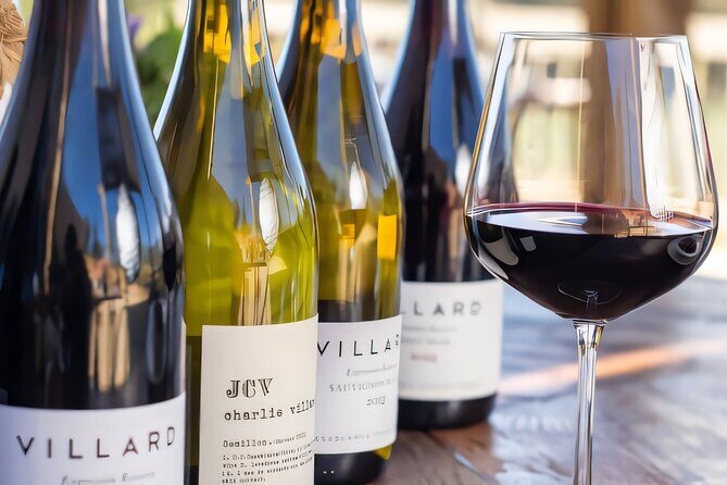 Private Wine Tour Casa Marin and Villard Wines - A Full-Day Private Wine Tour in Santiago: Casa Marin, Villard Wines, and Casas del Bosque