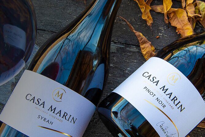 Private Wine Tour Casa Marin and Villard Wines - Who Will Love This Tour?