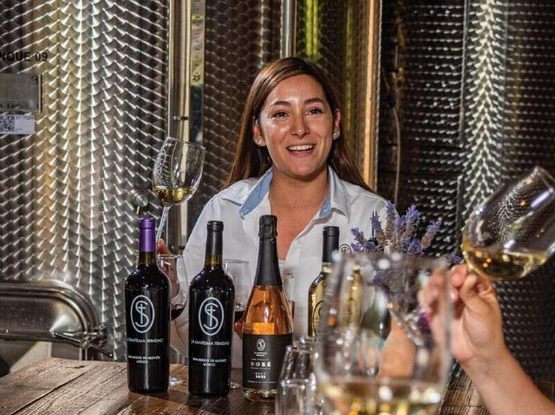 Private Wine Tour from Guanajuato City - Is This Tour Worth the Price?
