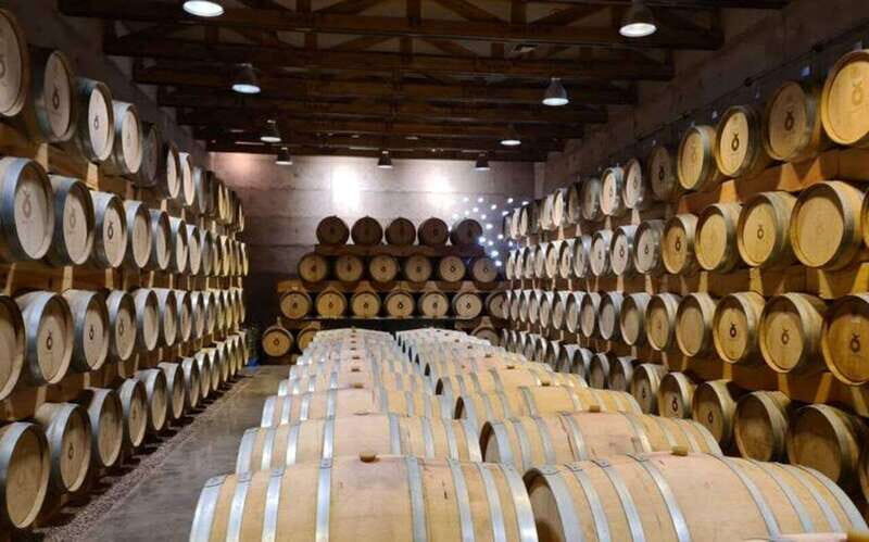 Private Wine Tour from Guanajuato City - The Sum Up: Why This Tour Could Be Your Perfect Day Out