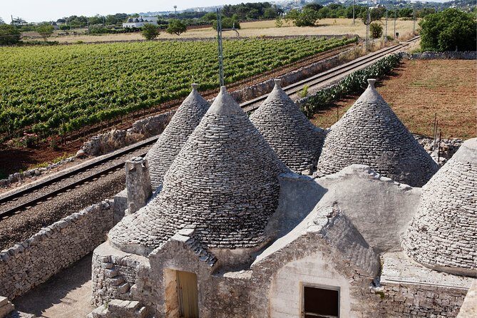Private Wine Tour from Ostuni with Lunch including Alberobello and Locorotondo - Who Will Love This Tour?