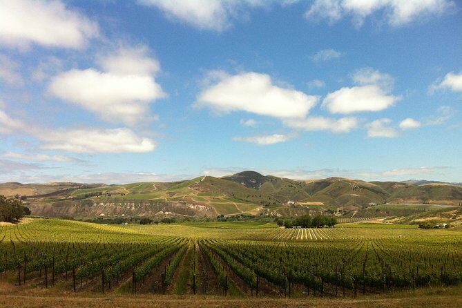 Private Wine Tour from the Santa Ynez Valley - Key Points