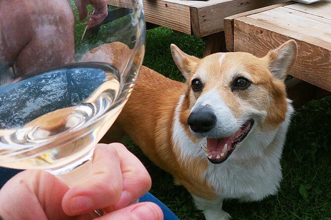 Private Wine Tour from the Santa Ynez Valley - What Do You Visit? The Itinerary in Detail