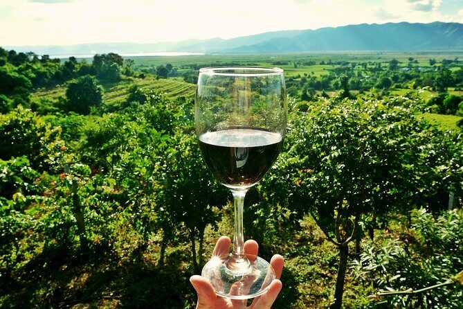Private Wine Tour from Zagreb: Two Local Wineries & Samobor - Visiting Samobor: A Town with Charm and Culinary Flair