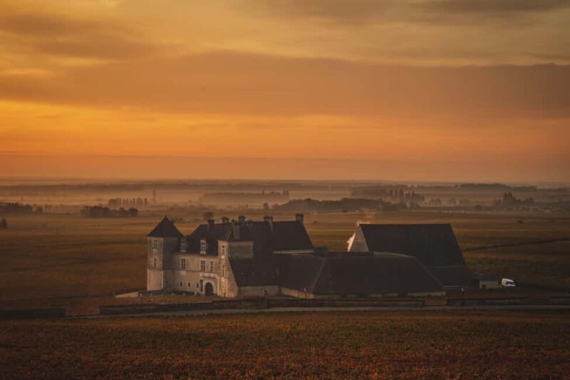 Private Wine Tour in Côte de Nuits and Côte de Beaune - Exploring Burgundy: A Deep Dive into the Tour