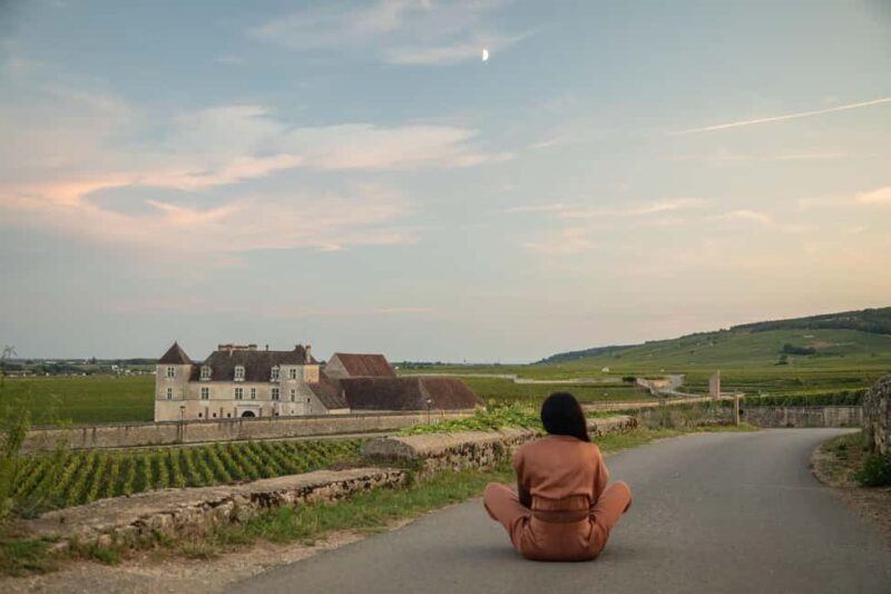 Private Wine Tour in Côte de Nuits and Côte de Beaune - The Sum Up