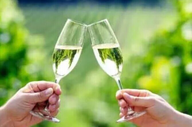 Private Wine Tour in Hunter Valley Pokolbin - The Itinerary Breakdown