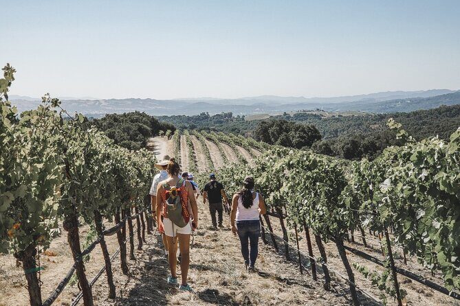 Private Wine Tour in Paso Robles - The Sum Up
