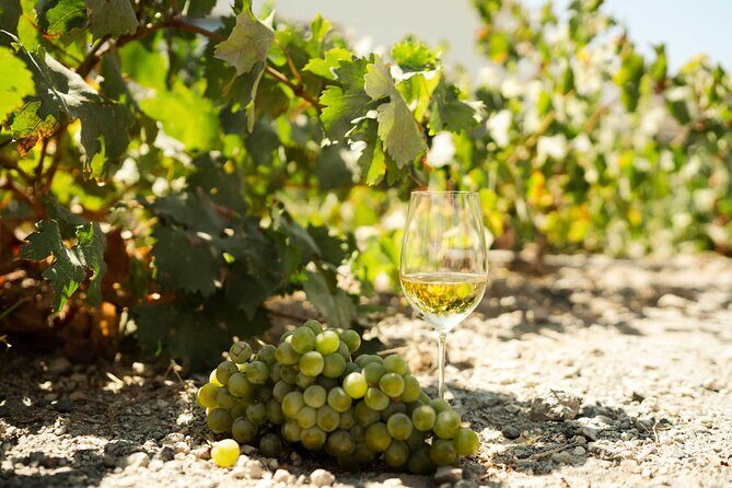 Private Wine Tour in Santorini - Final Thoughts: Is This Tour for You?