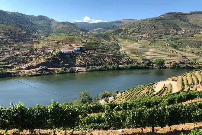 Private Wine Tour in the Douro Valley - Private wine tastings and lunch included - Key Points