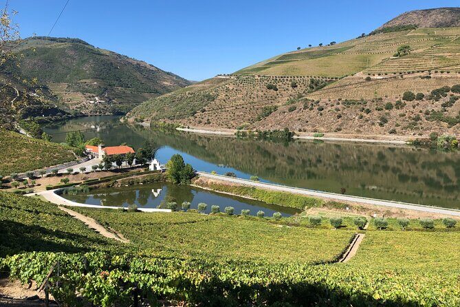 Private Wine Tour in the Douro Valley - Private wine tastings and lunch included - Who Is This Tour Best For?