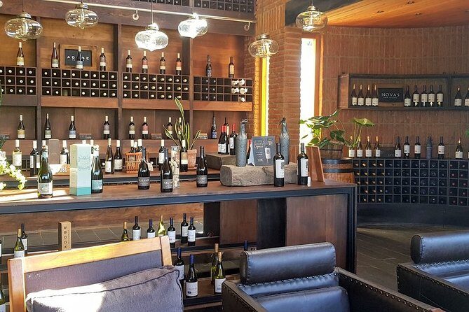 Private Wine Tour in Valparaiso - Exploring the Best of Chile’s Casablanca Valley on a Private Wine Tour