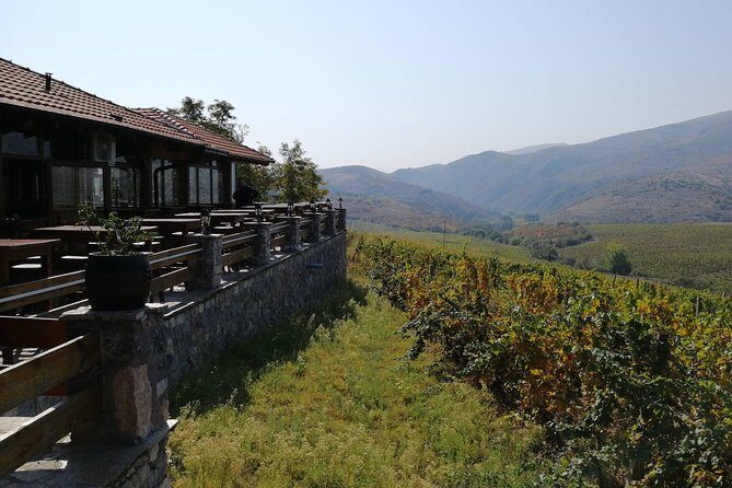 Private Wine Tour of Chateau Sopot Winery from Skopje - Exploring the Details of the Chateau Sopot Winery Private Tour