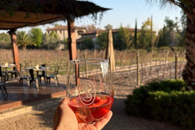 Private Wine Tour of San Miguel de Allende Tastings and Lunch - Who is this tour best for?