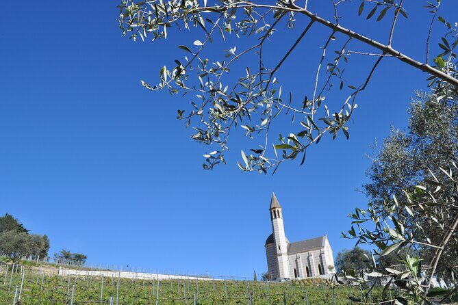 Private Wine Tour of the vineyards on the French Riviera - A Closer Look at the French Riviera Private Wine Tour