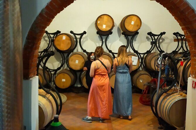 Private wine tour on the magical hills of Lucca (2 wineries) - Key Points