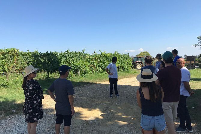 Private wine tour on the magical hills of Lucca (2 wineries) - Who Will Love This Tour?