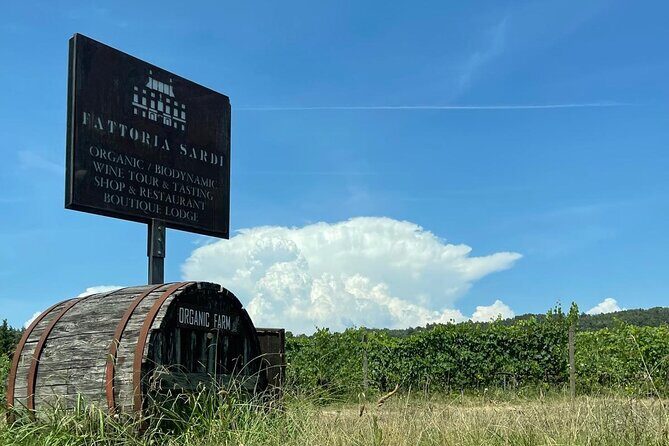 Private wine tour on the magical hills of Lucca (2 wineries) - Final Thoughts