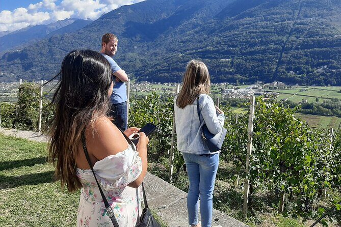 Private Wine Tour: Terraced Vineyards with Alpine view from Milan - Who Should Consider This Tour?