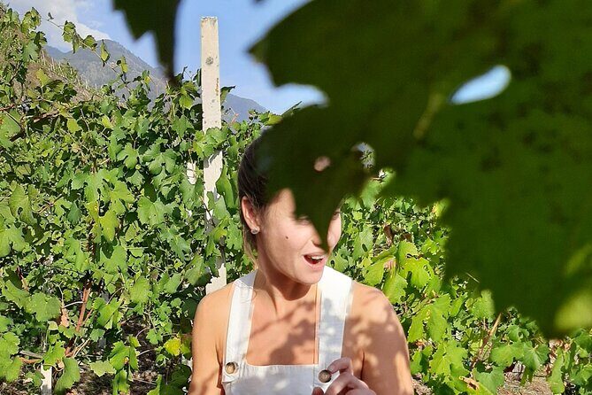 Private Wine Tour: Terraced Vineyards with Alpine view from Milan - Frequently Asked Questions