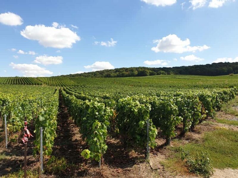 Private wine tour to Bordeaux - 2 days - From Paris - Who Would Love This Tour?