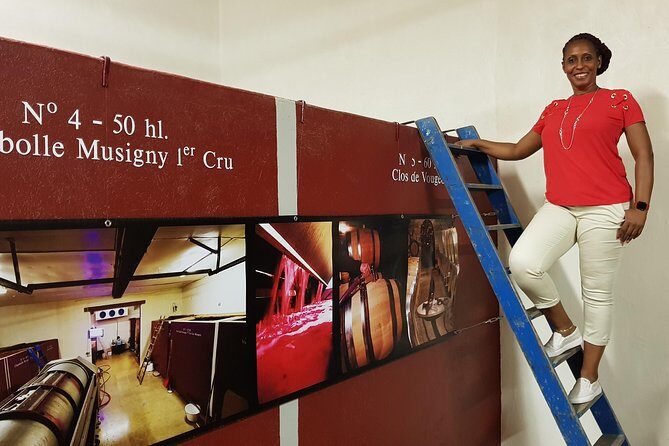 Private Wine Tour to Burgundy Region from Paris - What Makes This Tour Stand Out?