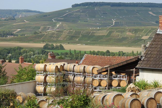 Private wine tour to Champagne region from Paris - Who Should Consider This Tour?