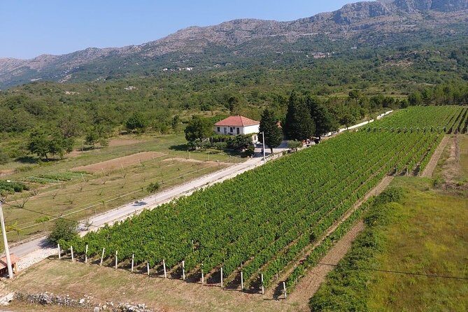 PRIVATE Wine Tour to Konavle country side - Final Reflection