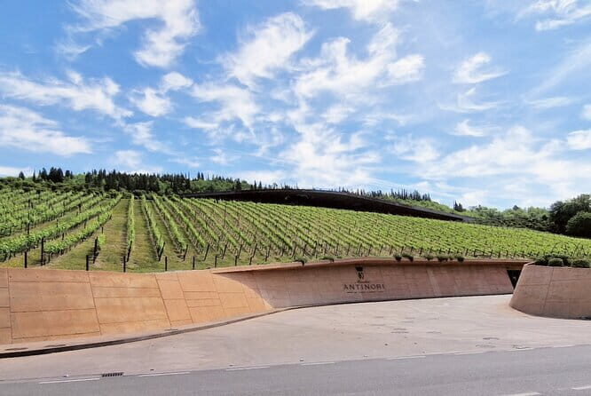 PRIVATE WINE TOUR TUSCANY Wines and Wineries of Chianti Classico - The Sum Up