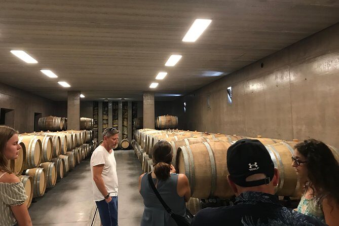 Private wine tour with sommelier - the magical Bolgheri (2 wineries) - A Deep Dive into the Bolgheri Private Wine Tour