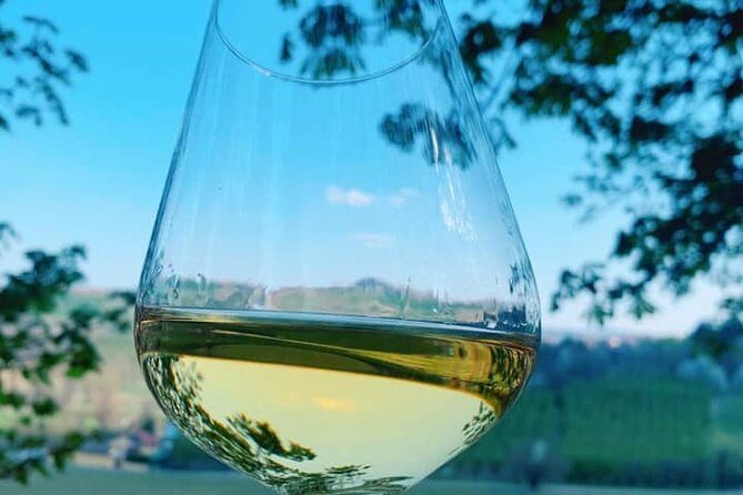 Private Wine Tour with The Whites of Langa Tasting - Final Thoughts