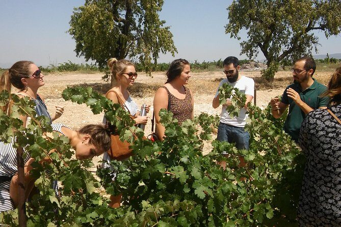 Private Wine Tour with Wine Tasting and Full Lunch (day trip) - An In-Depth Look: What to Expect on This Wine Day Trip