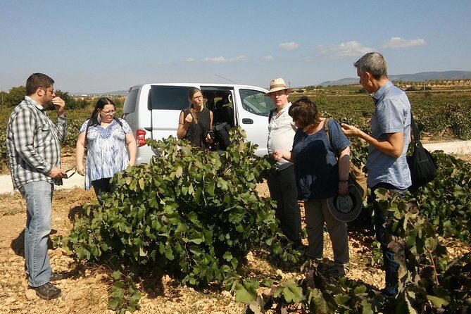 Private Wine Tour with Wine Tasting and Full Lunch (day trip) - Why This Tour Works for Travelers
