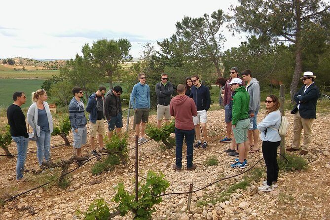 Private Wineries Tour from Valencia (morning tour) - A Closer Look at the Tour Experience