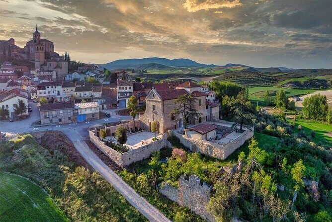 Private Winery and Lunch Experience an hour from Madrid - Practical Details and What You Should Know