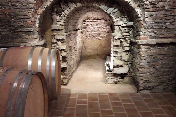 Private Winery and Vineyard Tour with Wine Tasting - Key Points