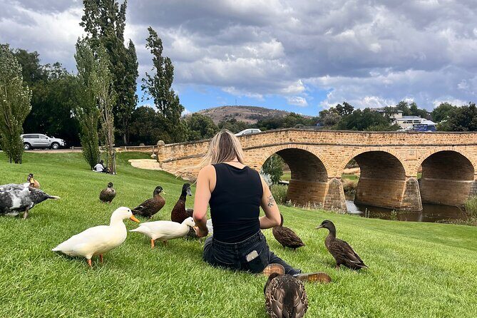 Private Winery Tour from Hobart - Nocton Vineyard – First Stop