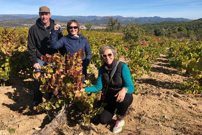 Private Winery Tour near Madrid with Sommelier (6-hour) - A Deep Dive into the Madrid Winery Tour Experience