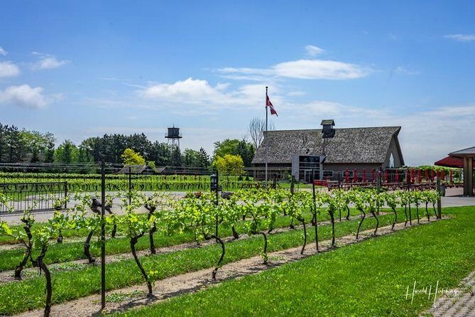 Private Winery Tour of Niagara-on-the-Lake - FAQ